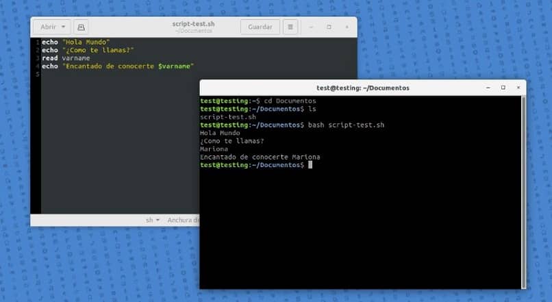 Crear un script usando el shell de Linux