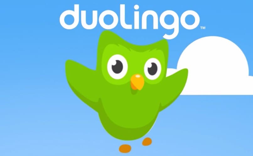 Mascota del búho de Duolingo