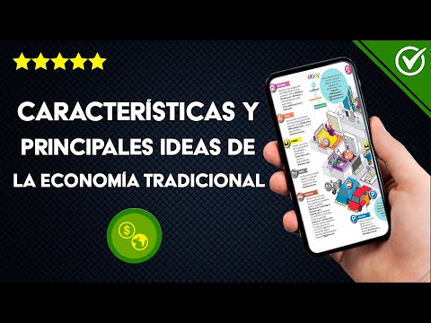 ¿Cuáles son las características e ideas principales de la economía tradicional?