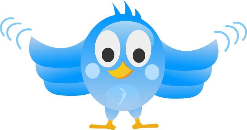 Red de Twitter de aves