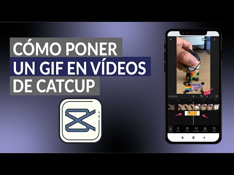 ¿Cómo usar o insertar un gif en un video CapCut en iPhone o Android? --Muy fácil
