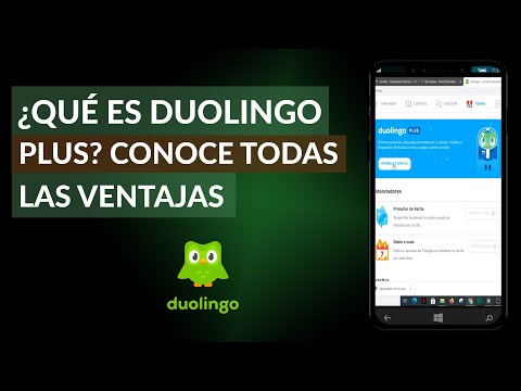 ¿Qué es DuolingoPlus? – Conoce todas las ventajas y beneficios